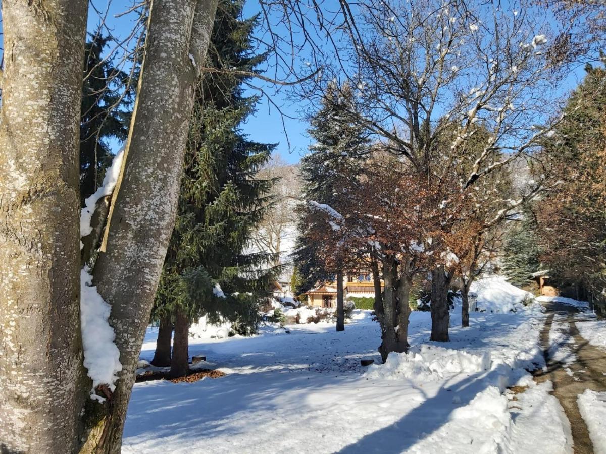 סיבודן B&B Pension Karlsdorfer Hof מראה חיצוני תמונה
